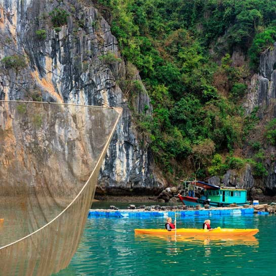 V'Spirit Premier Cruise 3 days 2 nights