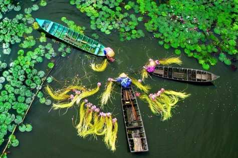 Enjoy the view of Mekong Delta