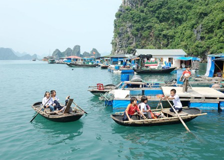 Surprise Cave - Floating Pearl Farm