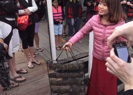 Hanoi - Tuan Chau Harbor - Sung Sot Cave - Tung Sau Pearl Farm