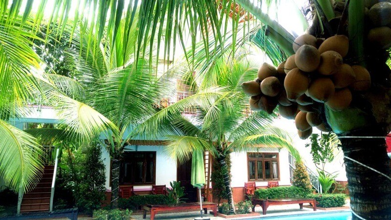 Camellia Resort & Spa