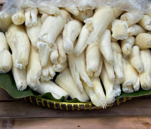 Cu Chi Tunnel and Mekong Delta Full Day Tour