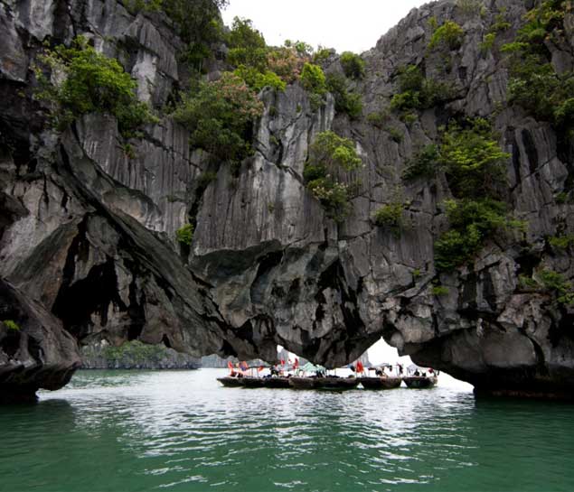 Halong Bay Day Tour