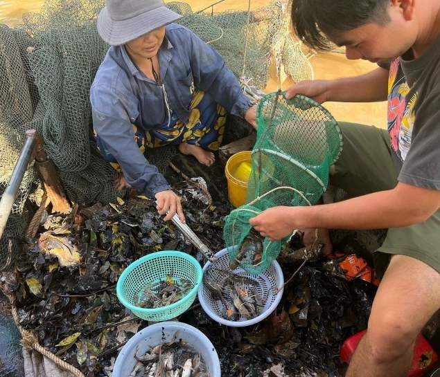 Southern Vietnam Journey 5 Days